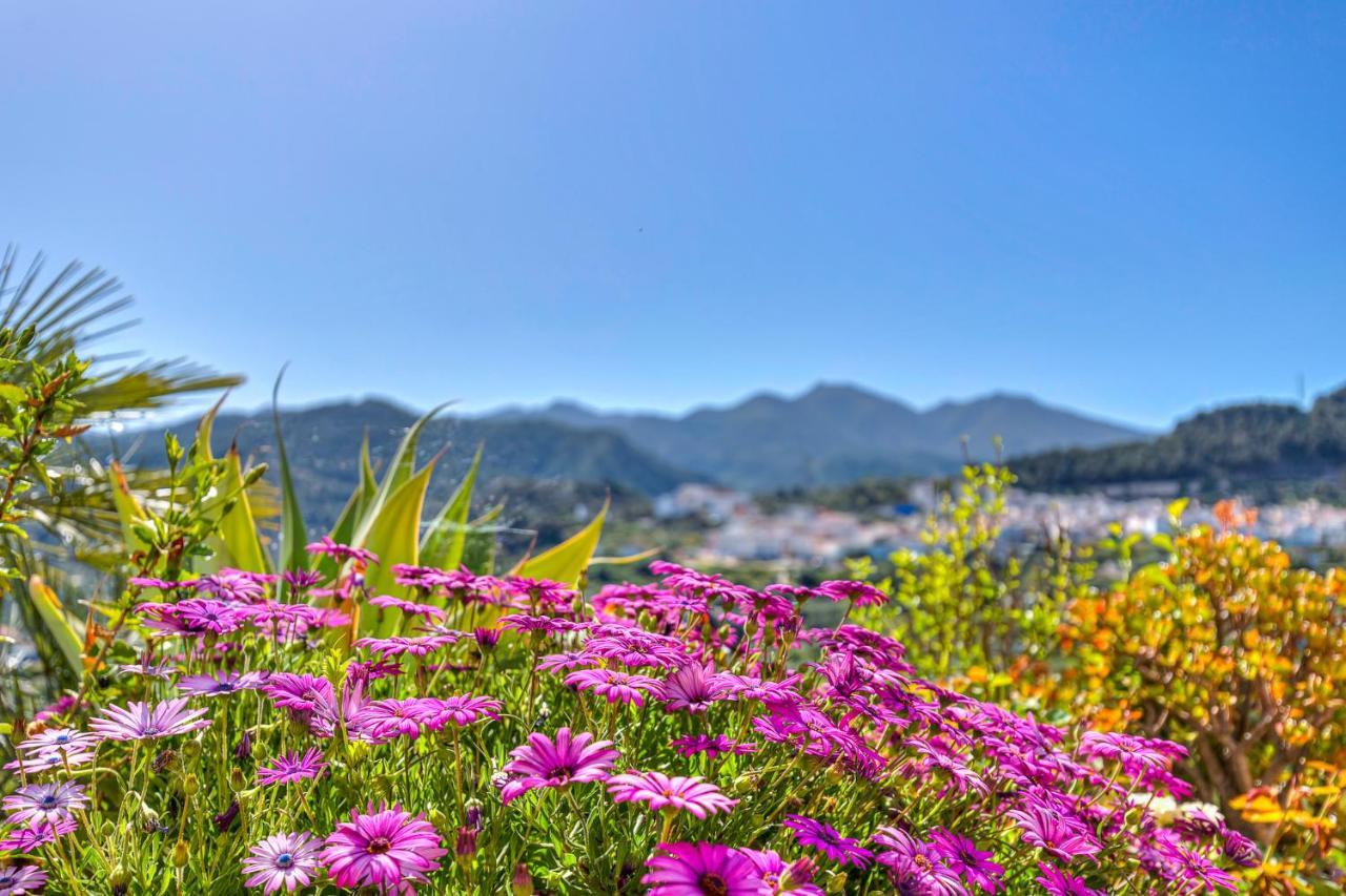 Monda Heights Close To Marbella Экстерьер фото